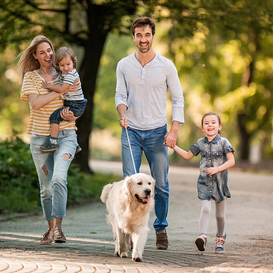 ペットカート 耐荷重50㎏ 大型犬対応 前後ドア 乗りやすい 【グレー】