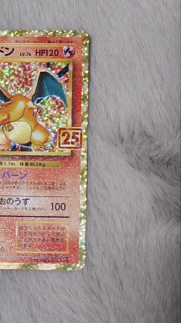 ぬ*ま様 リザードン ガブリアス　25周年