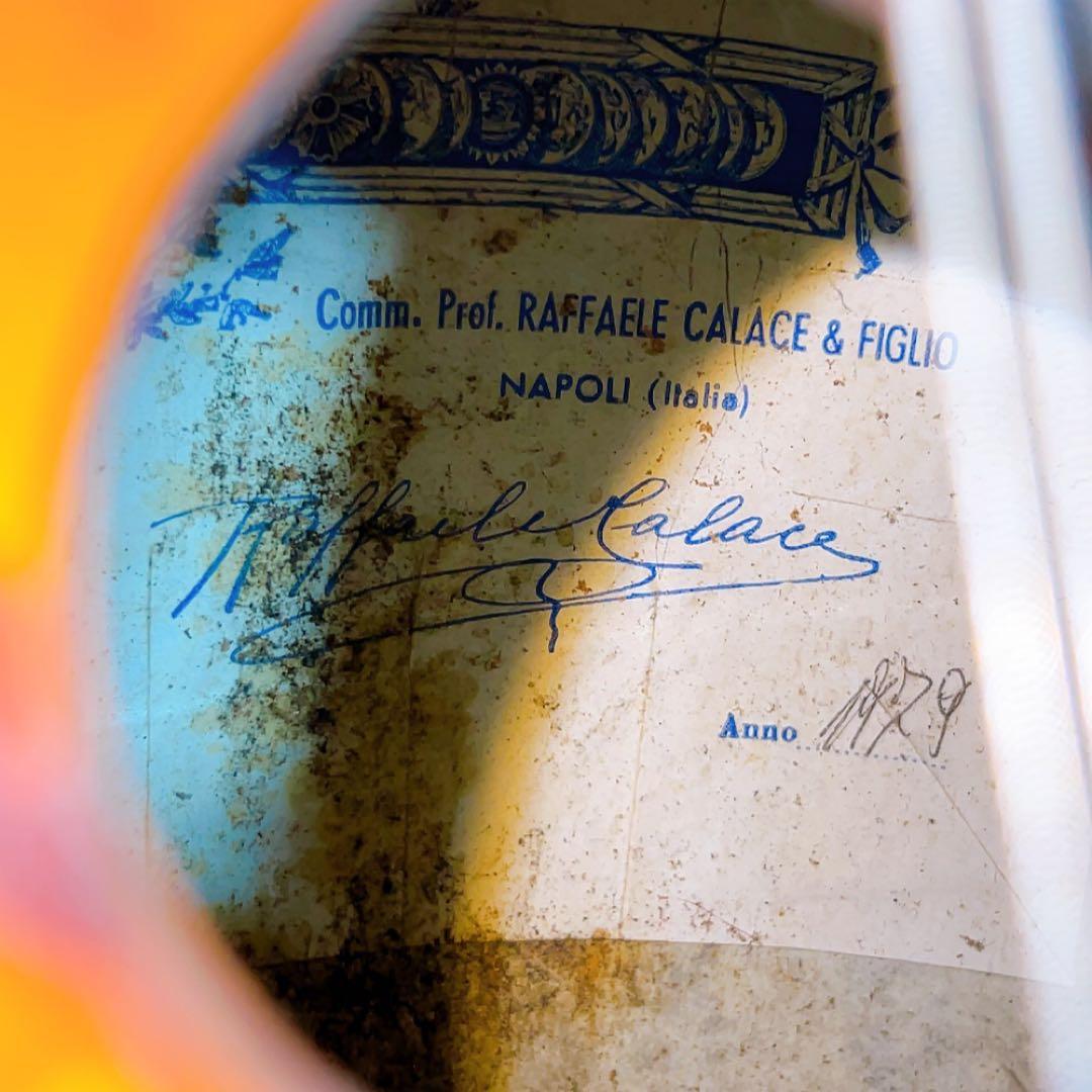 希少！Raffaele Calace カラーチェ　マンドリン　No.16 bis