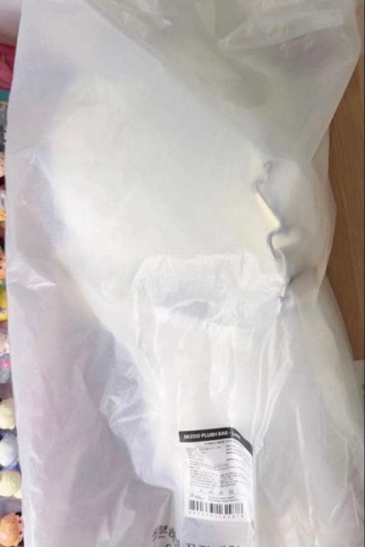 ポップアップ SKZOO PLUSH BAG Jiniret StrayKids