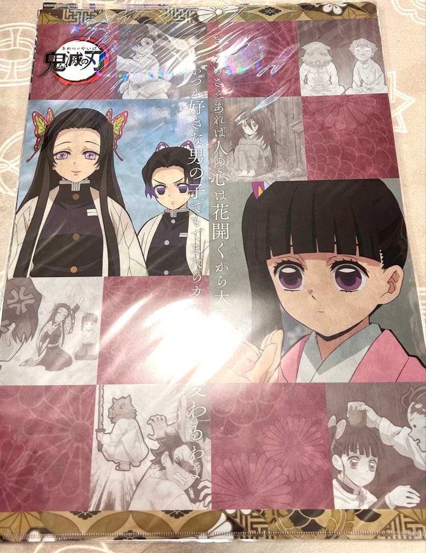 鬼滅の刃 ランチョンマットケース 柱合会議・蝶屋敷編 立志編★計15枚セット★