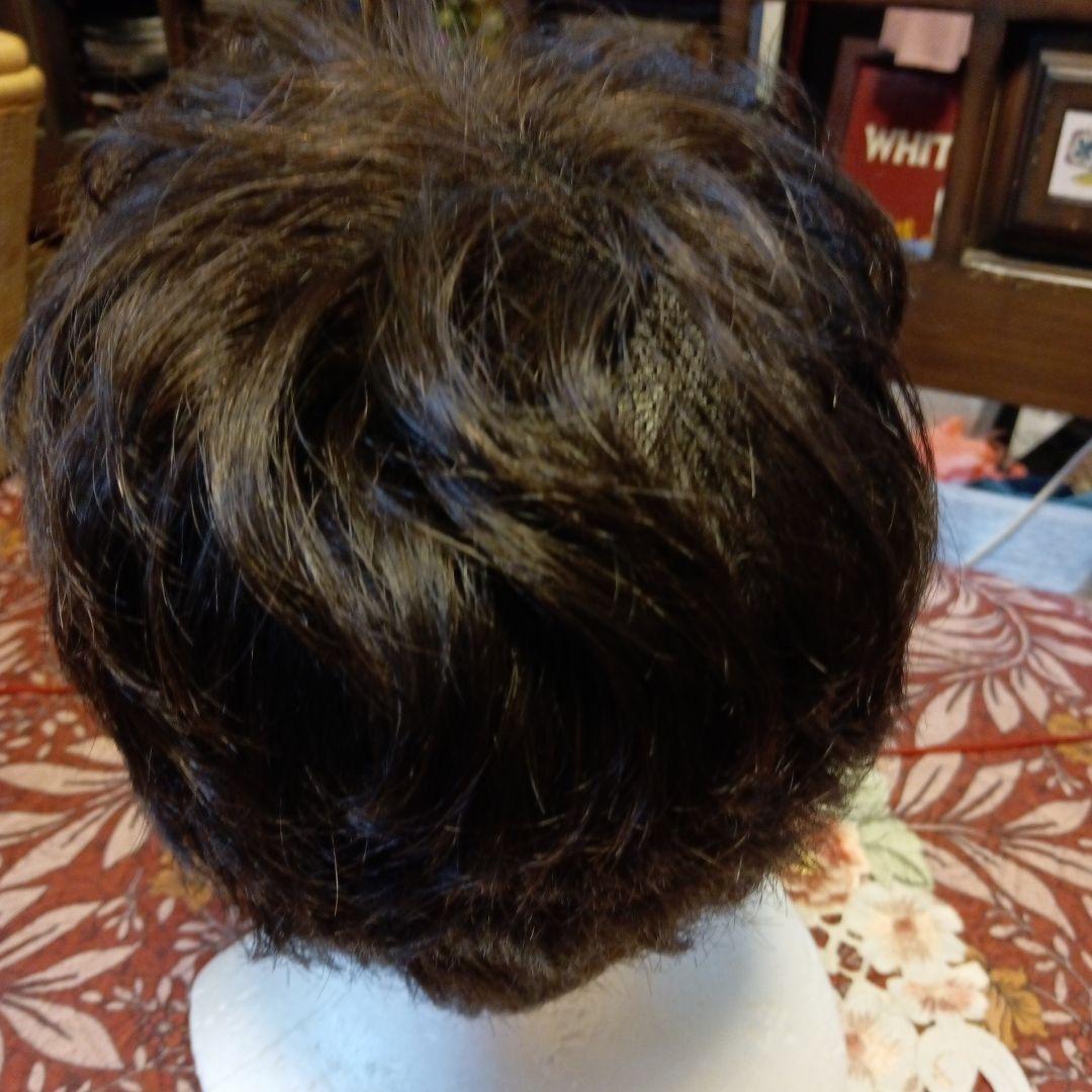 フォンテーヌウィッグVALAN32