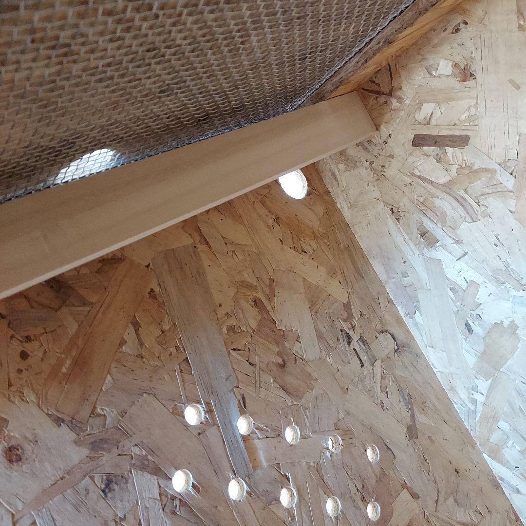 OSBボード製 飼育ケージ アクリル扉付き