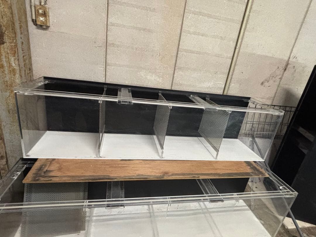 送料込み　約1800 400 450 白黒　アクリル水槽　エイ　生簀　爬虫類