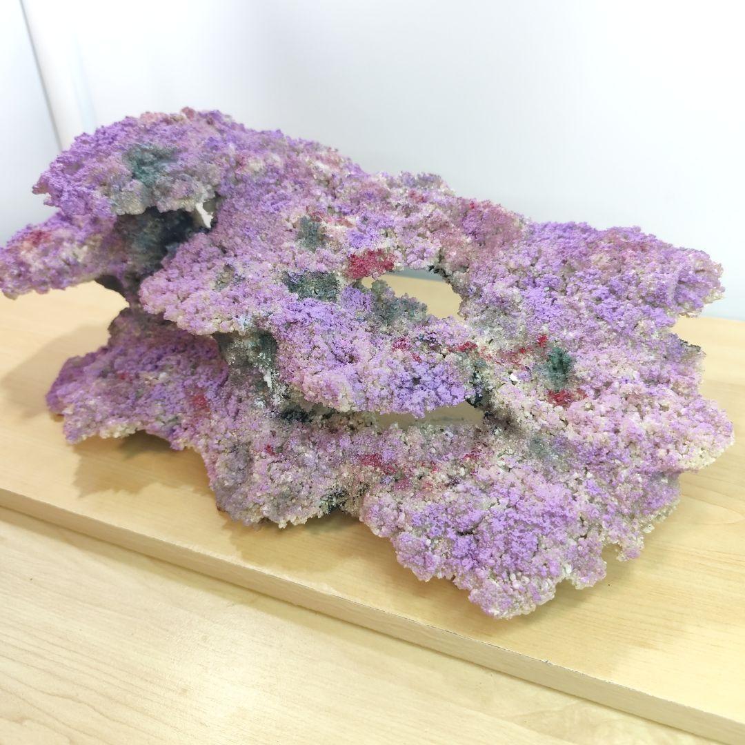❖新品アク抜き不要 人工ライブロック 60cm海水水槽用 レプリカ 多孔質安い5