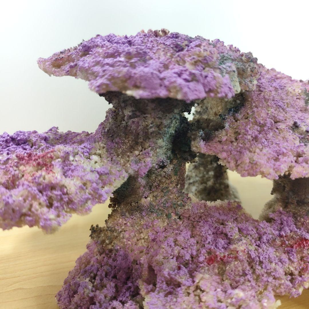 ❖新品アク抜き不要 人工ライブロック 60cm海水水槽用 レプリカ 多孔質安い5