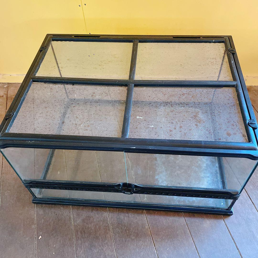 エキゾテラ　グラステラリウム　ガラスケース