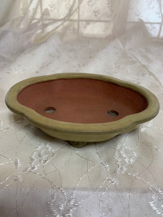 壱興　もっこ　盆栽鉢