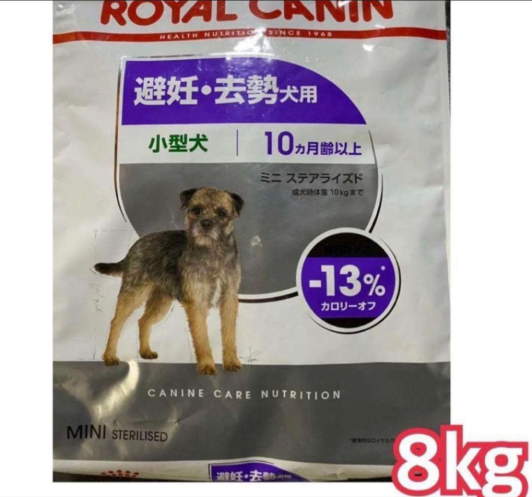  CANIN ミニステアライズド　8kg