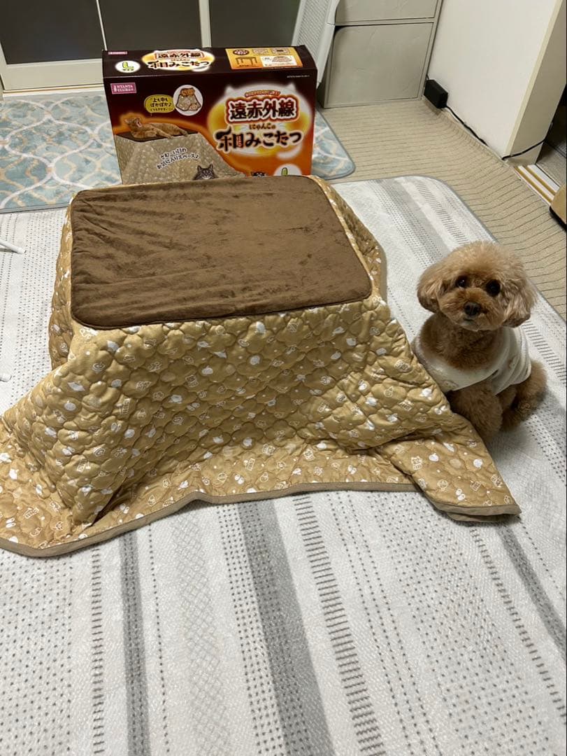 ペット用こたつ にゃんこの和みこたつ