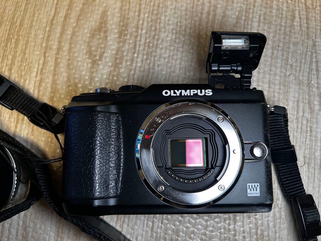 OLYMPUS PEN E-PL2 ダブルレンズキット シャッター数7,353回