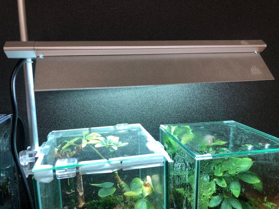 【美品】WEEK AQUA S300pro LEDライト RGBライト 30cm