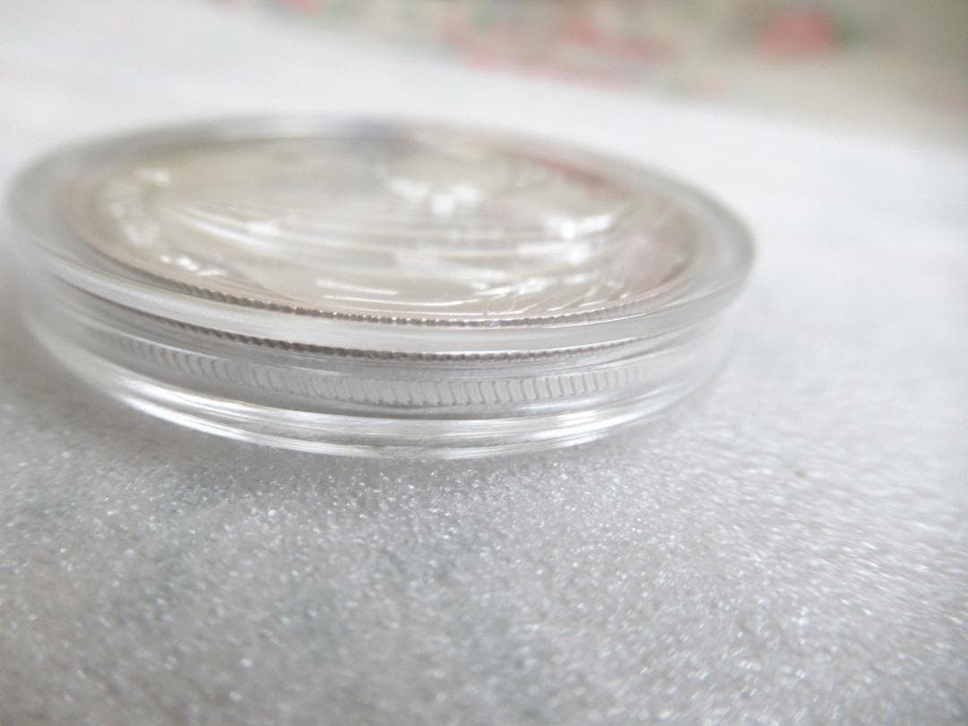 中国 パンダ  2004年 銀貨 純銀 10元 Ag999 1オンス１oz