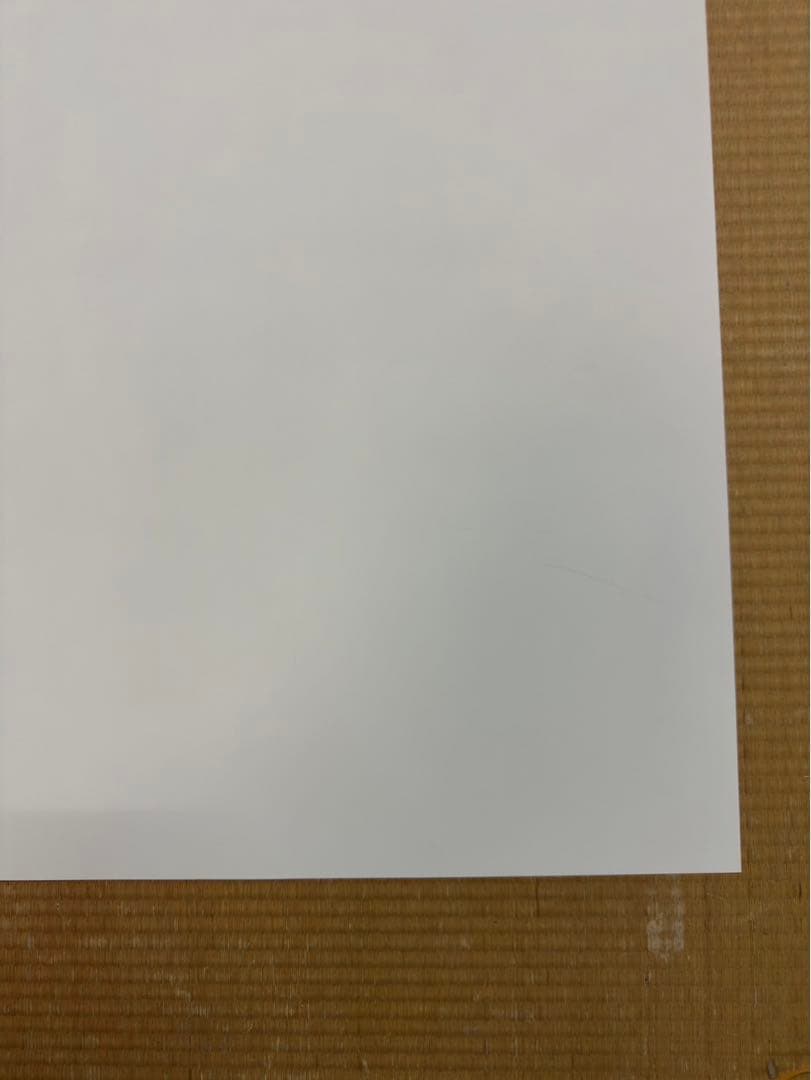 マ*コ様 【30】となりのトトロ　激レア　ポスター