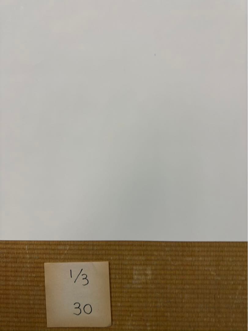 マ*コ様 【30】となりのトトロ　激レア　ポスター