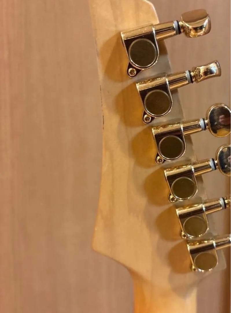 FERNANDES FGZ400 ゴールドパーツ仕様 トレモロアーム ケース付