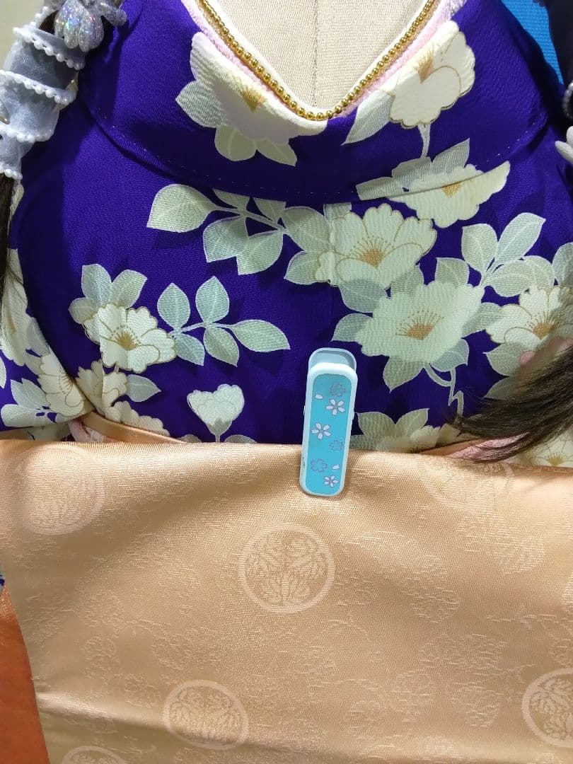 振袖フルセット、正絹振袖、成人式、重ね衿、帯揚げ帯締め、西陣京の袋帯、襦袢