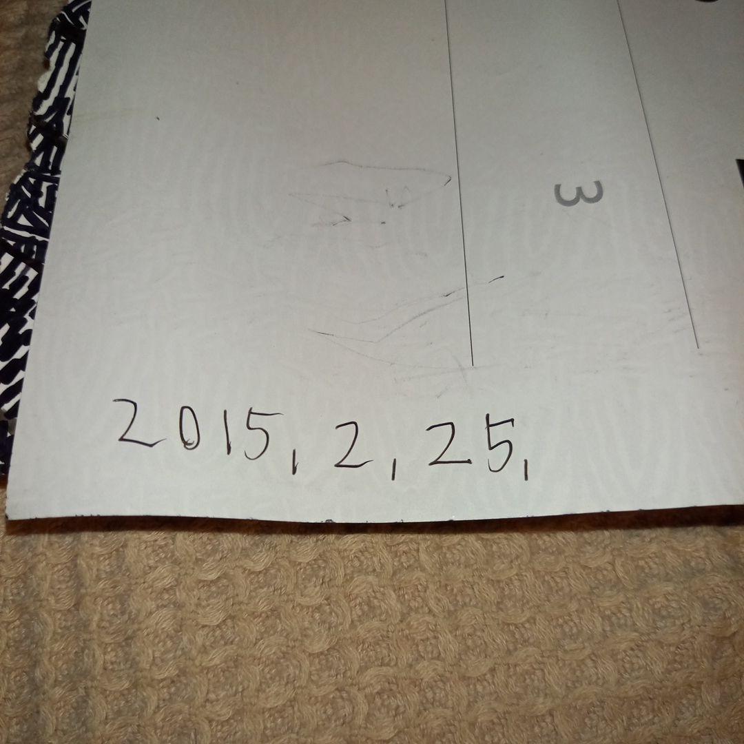 夜野ムクロジ　先生　アート作品　1