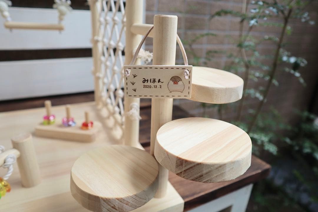 ことりのおおきなあそびば　文鳥　インコ　バードアスレチック　バードジム　ブランコ