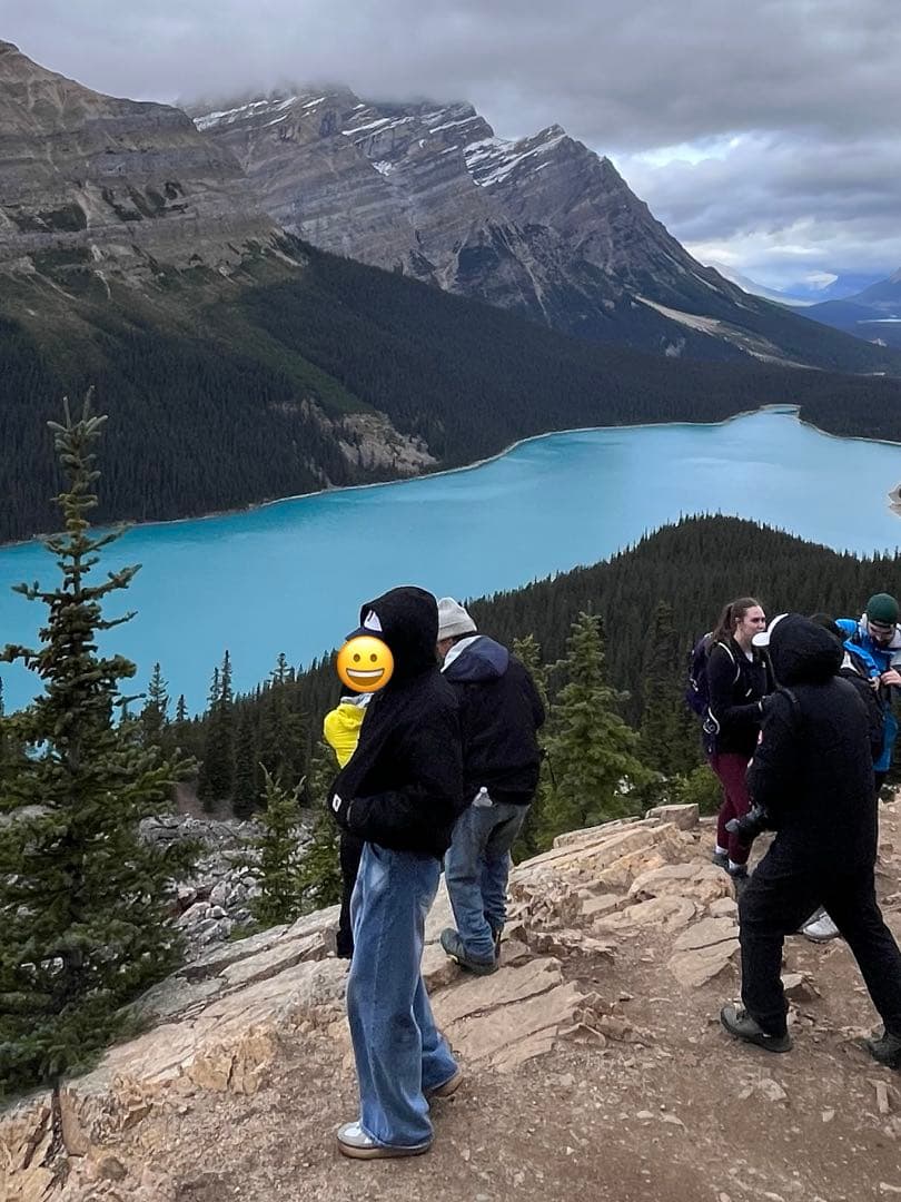 Carhartt アクティブジャケット L 黒