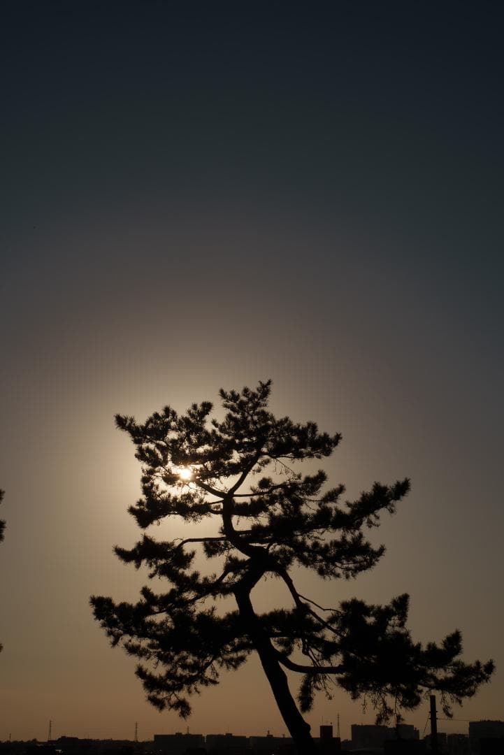 美品！赤エルマーダイヤ入！Redscale Elmar 50mm F3.5