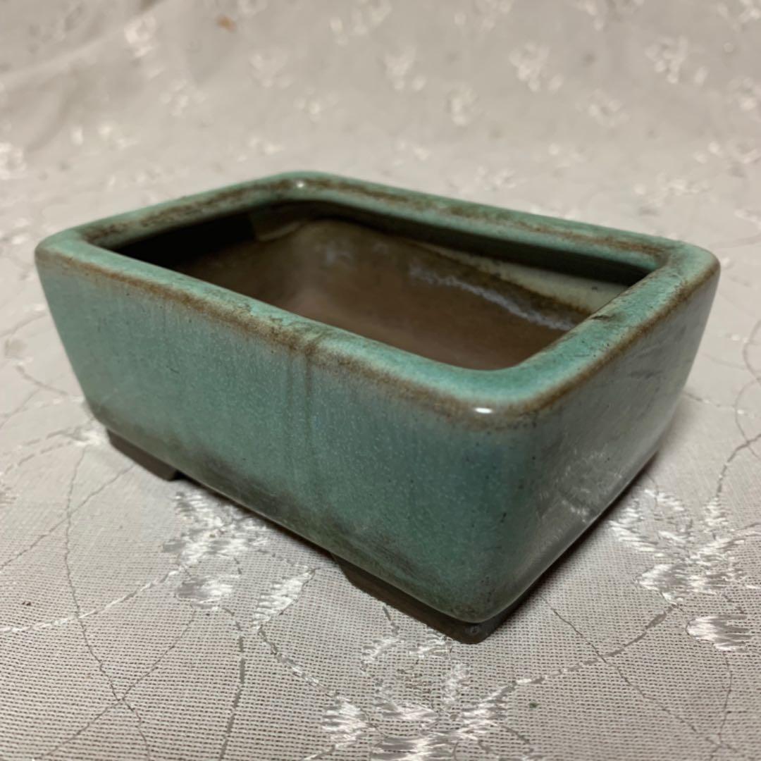 春萌　長方　盆栽鉢