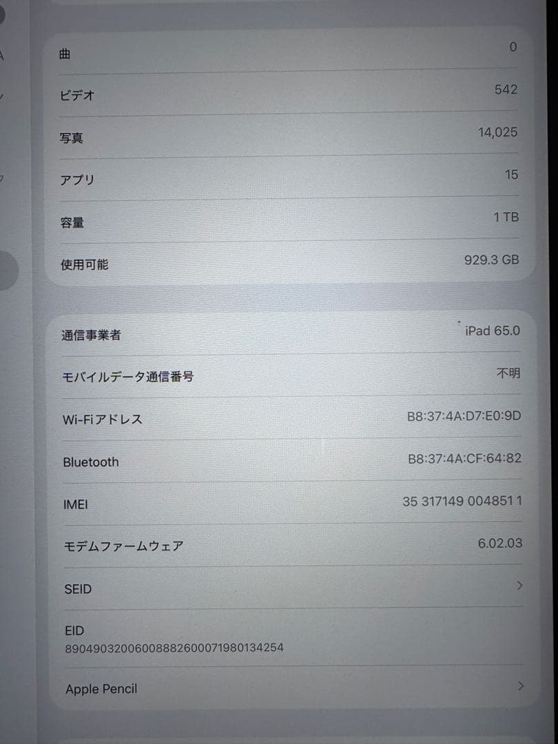 iPad Pro M1 11インチ 1TB Wi-Fi+Cellular