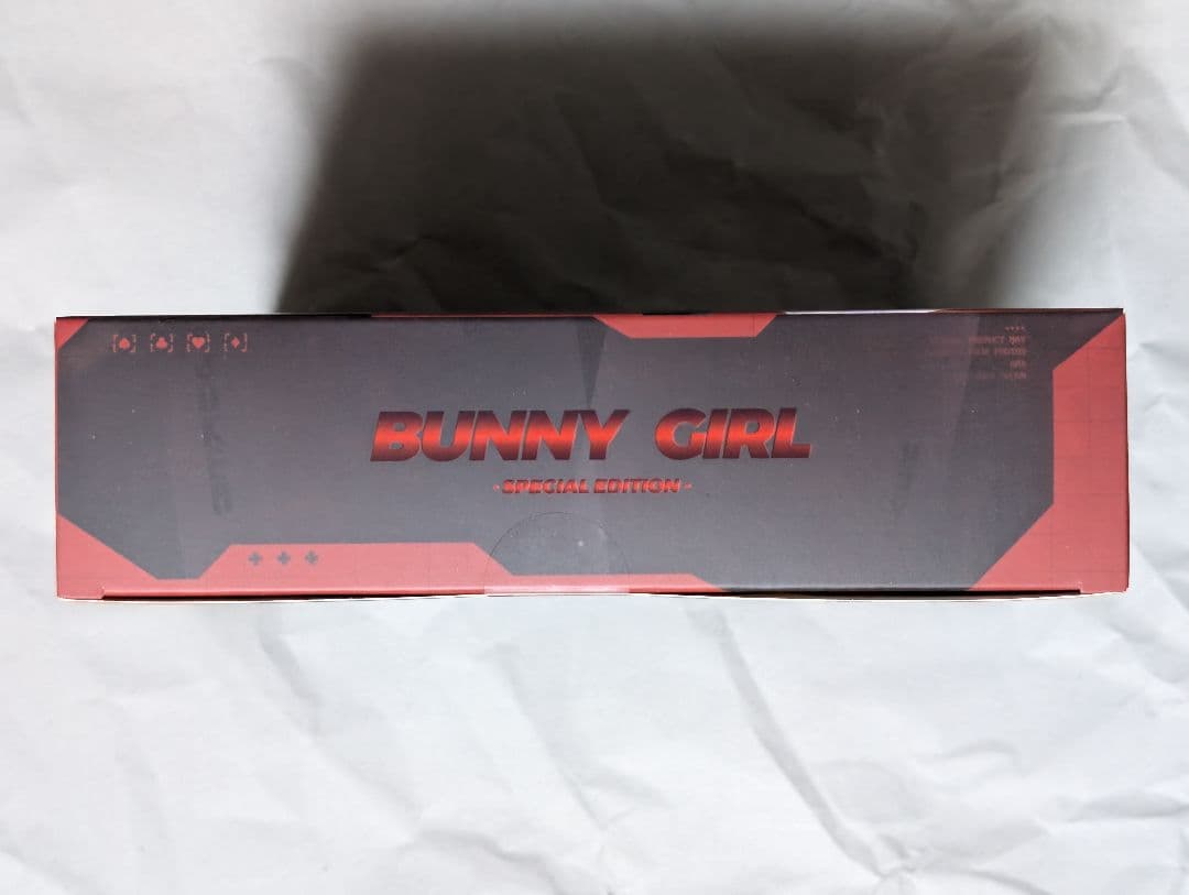 バニーガール アイリン サンキスドVer. フット サイクロンバニー パーカー