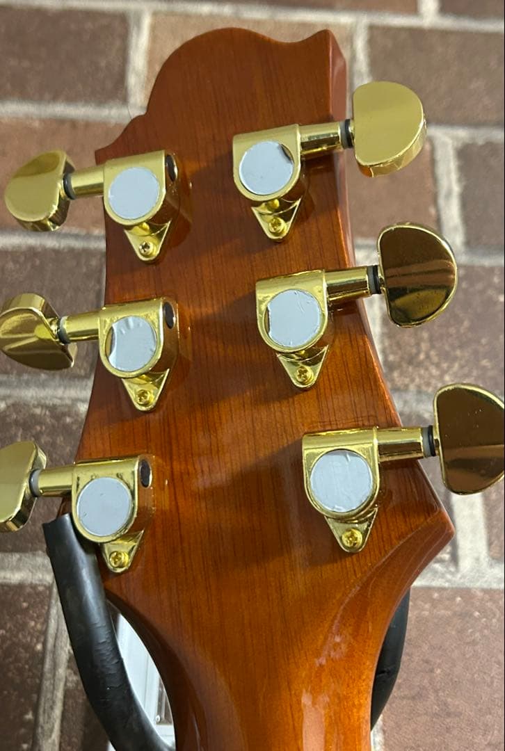 早い人勝ち 要説明確認　GREG BENNETT designギター