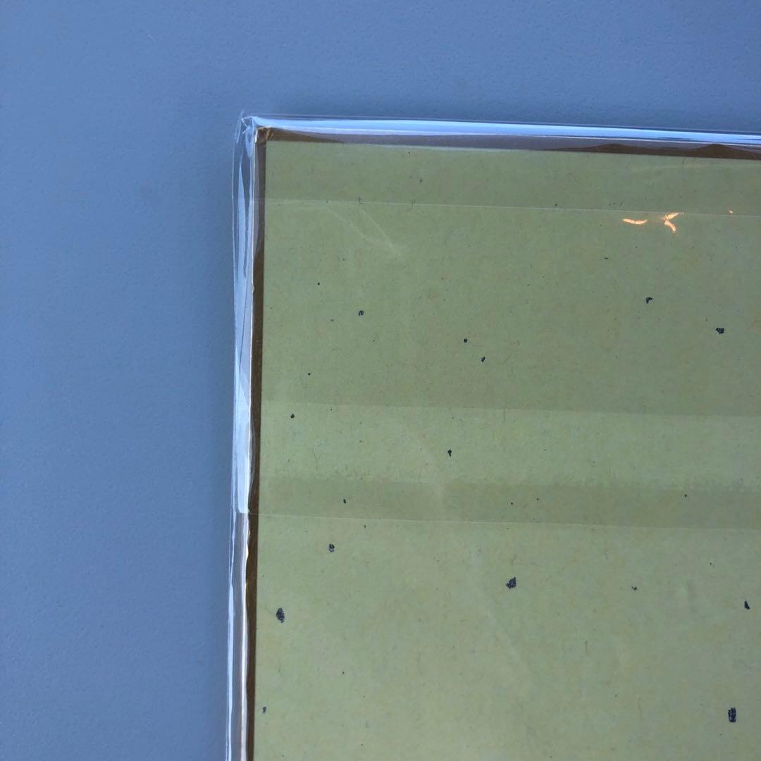 Vtuber 飯田ぽち。 3D化記念グッズ　直筆サイン色紙 メロブ