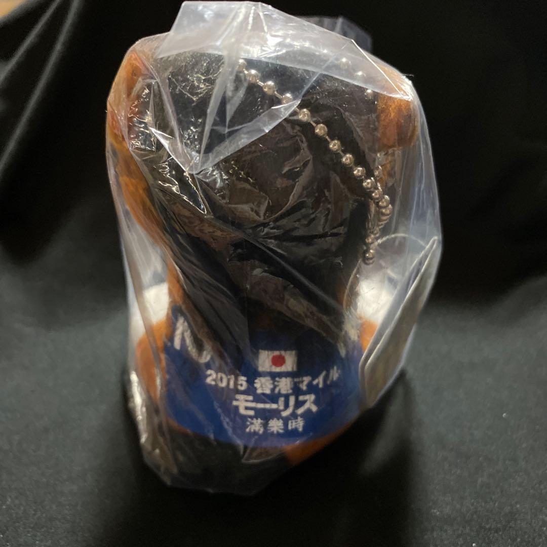 【競馬】モーリス（2015年香港マイル）ぬいぐるみ／アイドルホースSサイズ