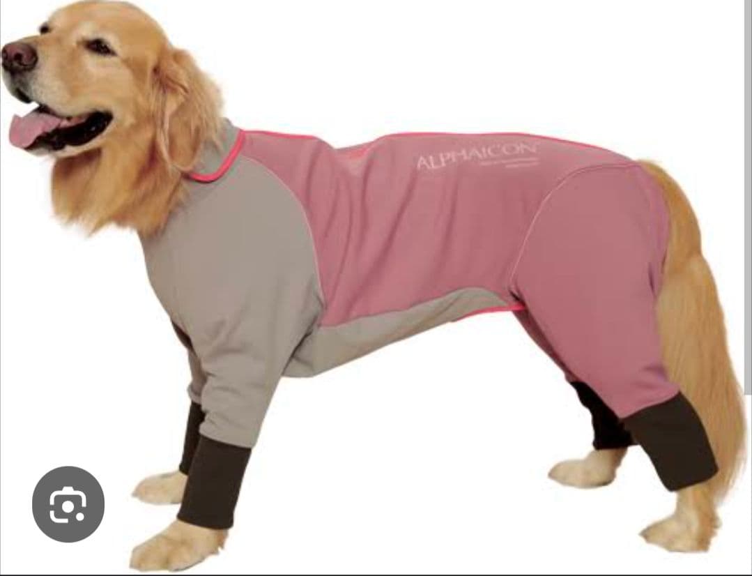 d*9様 ALPHAICON ダブルフルドッグガード 1Lサイズ　23年モデル