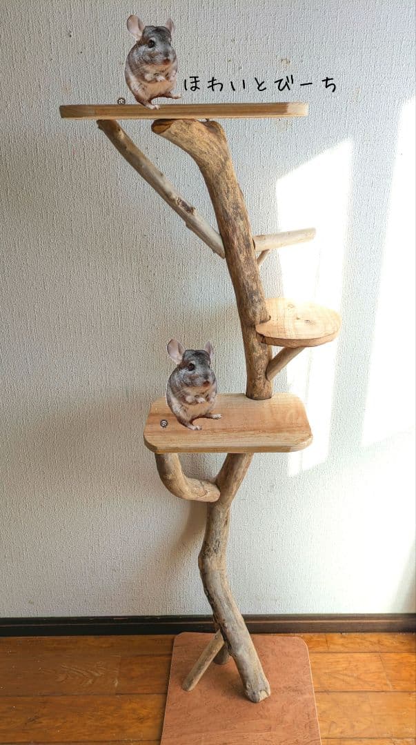 チンチラ流木タワー・No.①