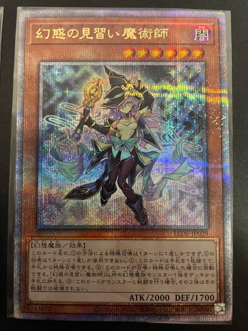 遊戯王　幻惑の見習い魔術師　25th クオシク　ナイトメアアプレンティス