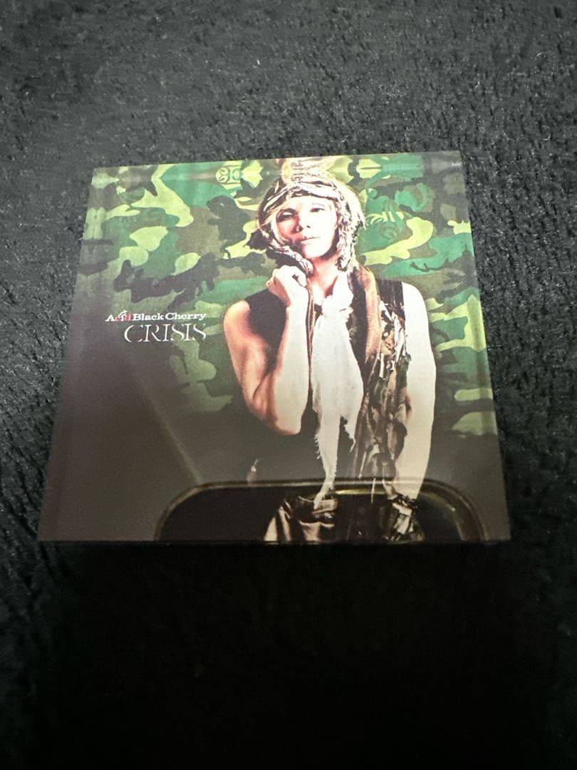 Acid Black Cherry アクリルマグネット シークレット