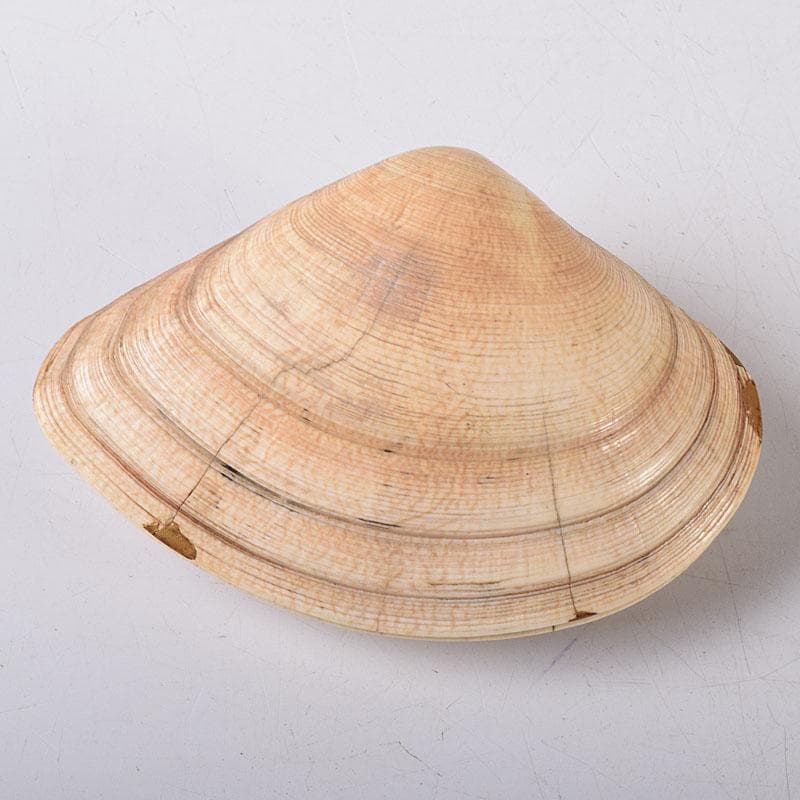 茶道具　金蒔絵　裏千家　十四代　淡々斎花押　あさり香合　時代箱　V　R8470