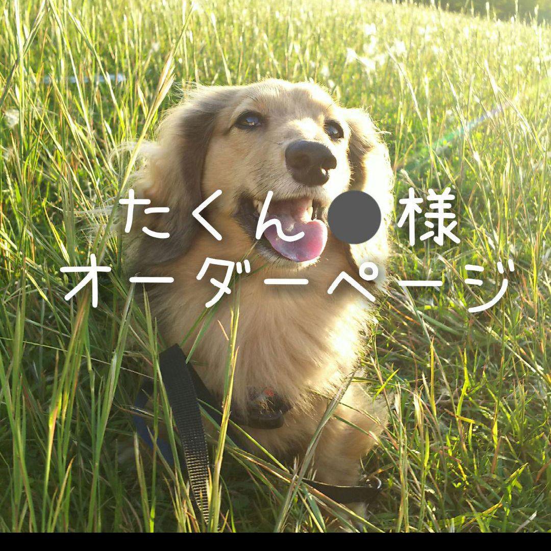 たくん⚫絶賛断捨離中(*´ㅅ`*)様オーダーページ