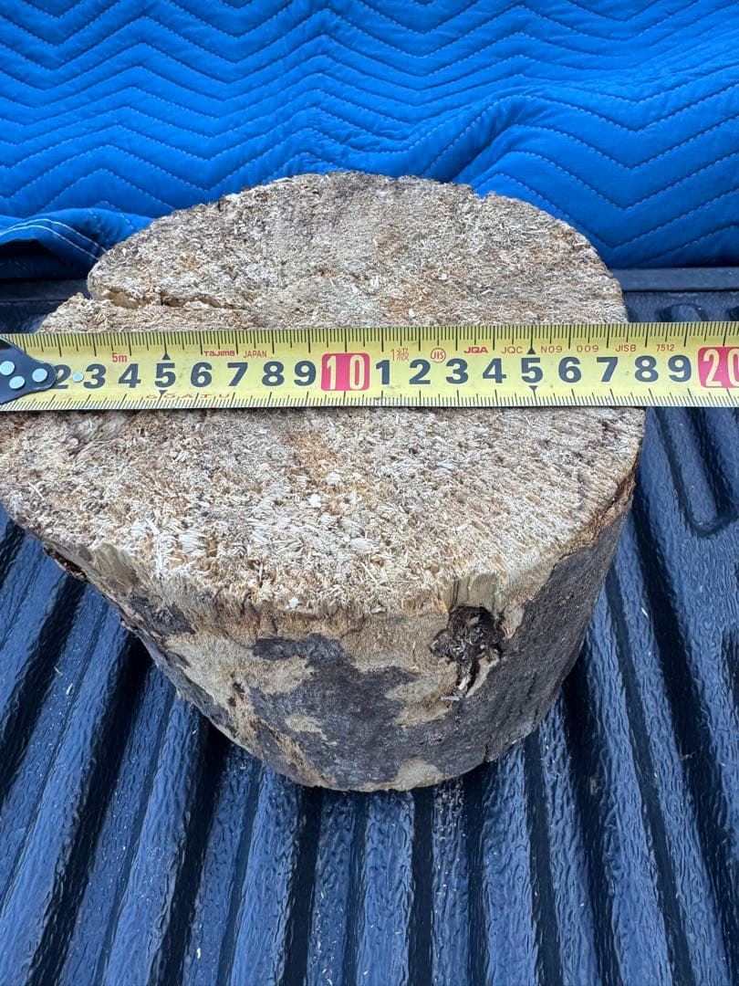 ベトナム材　VN材　13cm×18cm 産卵材