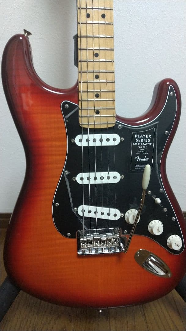 ギター Fender MexicoStratocaster Plier Series