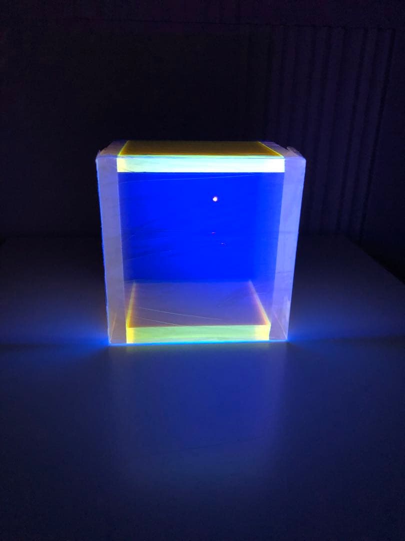 コレクター必見❗️希少‼️レギーネ・シューマン　Regine Schumann