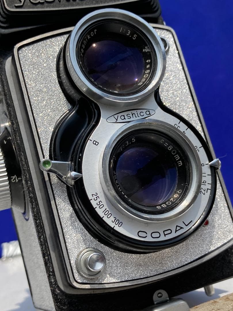 若葉が鮮やか　キラキラ感 YASHICA FLEX インテリアにもどうぞ