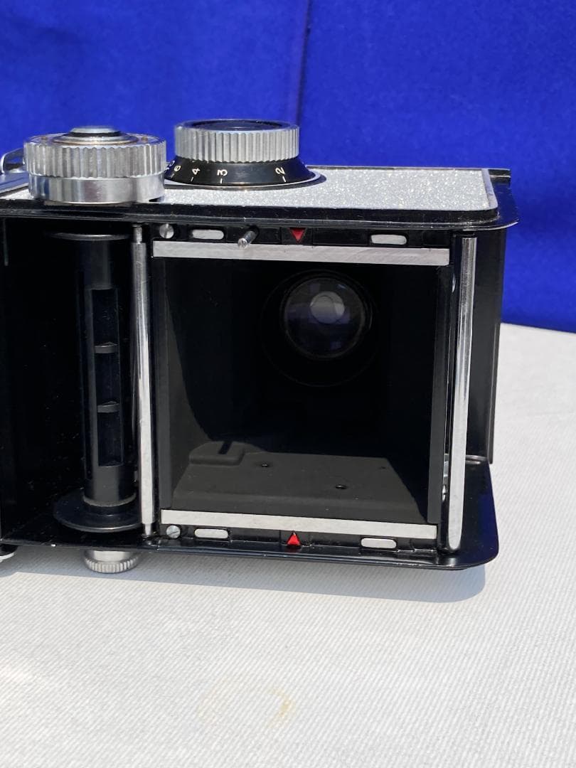 若葉が鮮やか　キラキラ感 YASHICA FLEX インテリアにもどうぞ