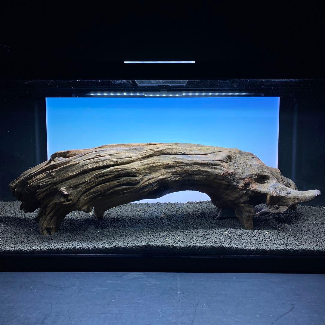 MRW-6331 特大自立赤系流木　アーチ流木　1点物　自立流木　90cm水槽用