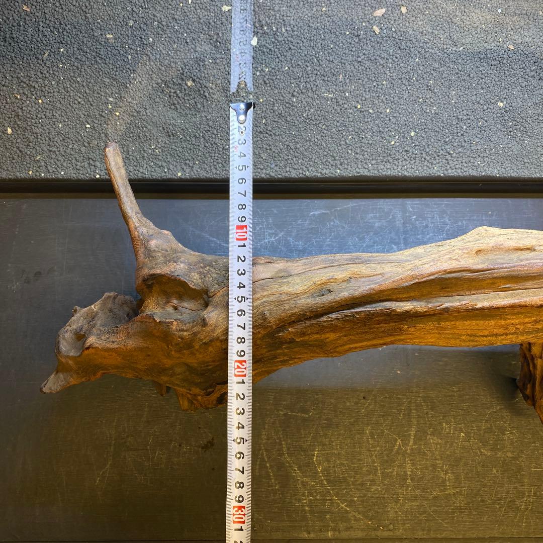 MRW-6331 特大自立赤系流木　アーチ流木　1点物　自立流木　90cm水槽用