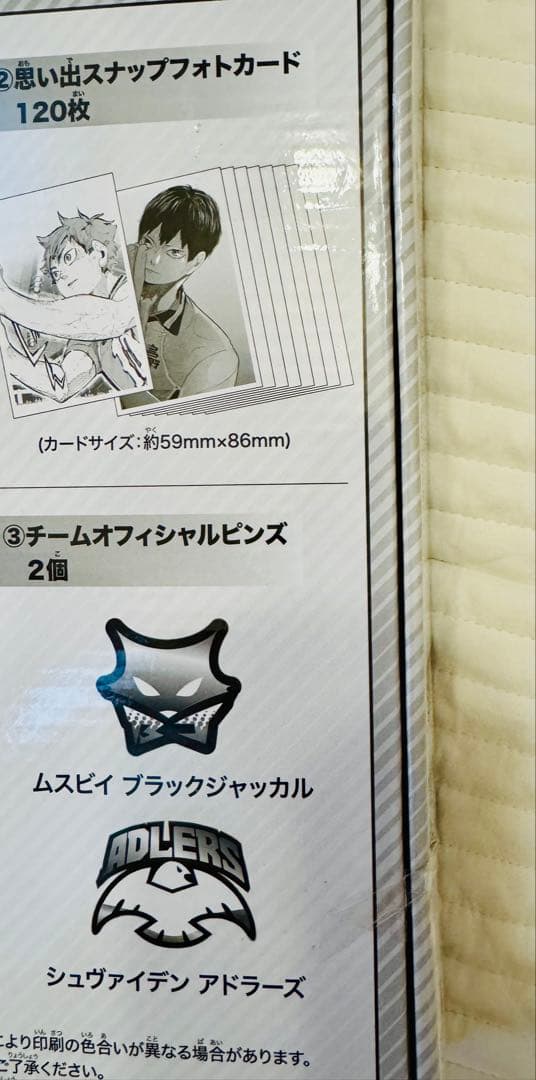 【新品】ハイキュー!! 10th クロニクル　グッズのみ