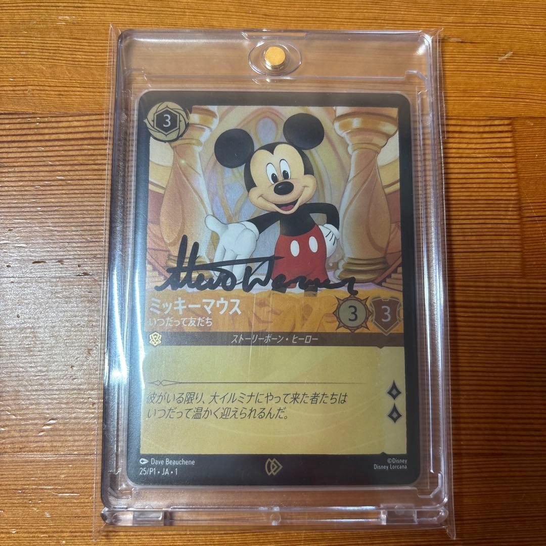 rainbow33　ロルカナ　スティーブワーナー　直筆サイン入カード