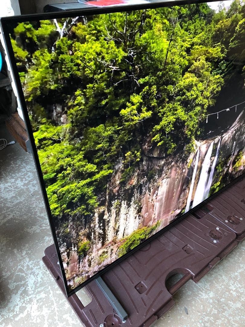 ソニー 55V型 4K 有機ELテレビ XRJ-55A80J 2021年製