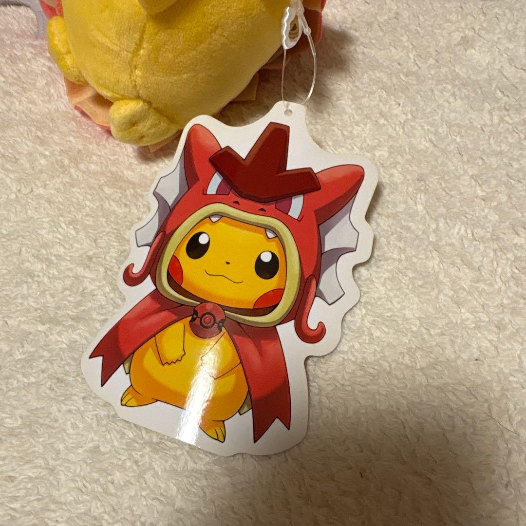 ポケモンセンター　ヒロシマ　赤いギャラドス　ポンチョ　ピカチュウ ぬいぐるみ