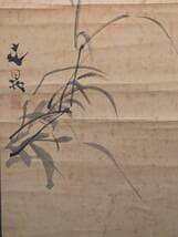 【模写】掛軸　谷文晁　翡翠図　繊細な筆致で描く翡翠と蘭の美　T183