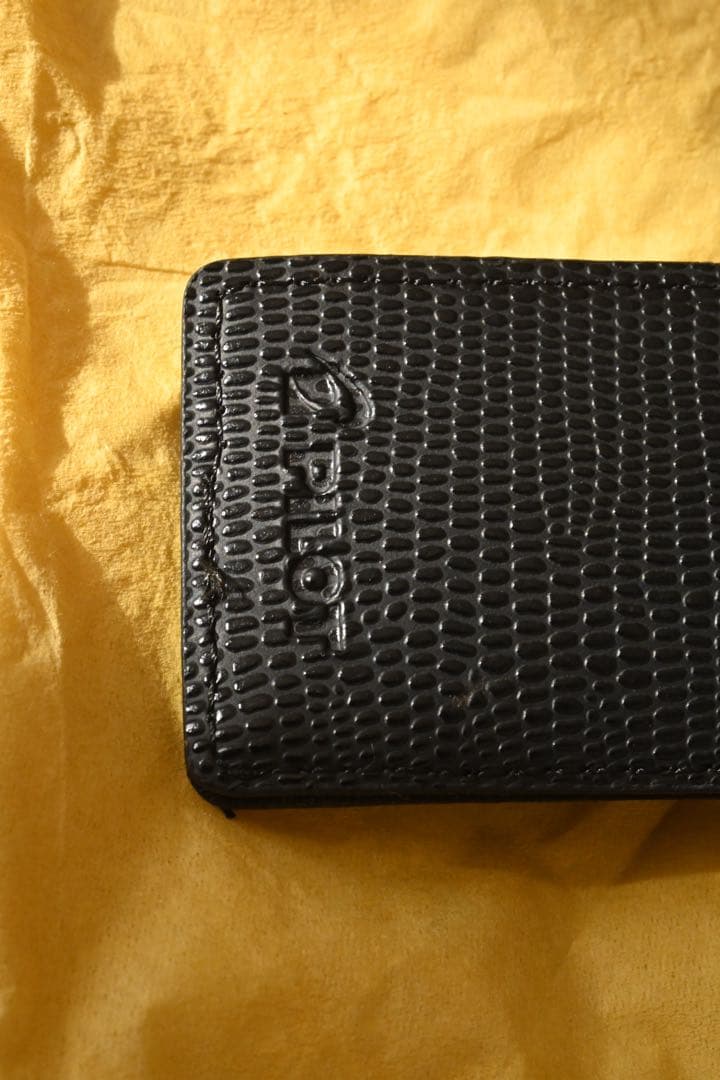 (美品)Pilotカスタム74 中細字 黒, インクコンバータ/ペンケース付